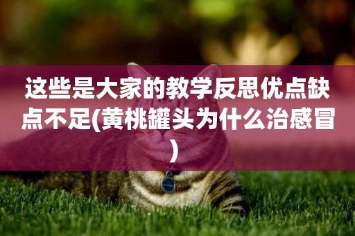 這些是大家的教學反思優點缺點不足(黃桃罐頭為什么治感冒) 