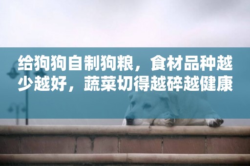 給狗狗自制狗糧，食材品種越少越好，蔬菜切得越碎越健康 