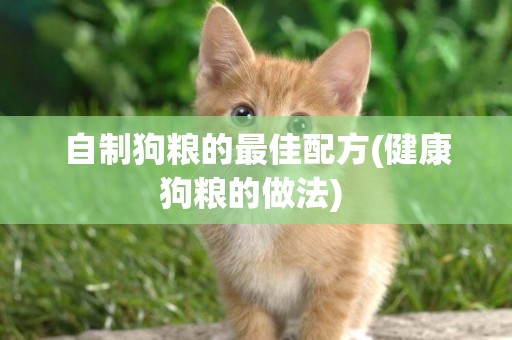 自制狗糧的最佳配方(健康狗糧的做法) 
