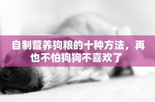 自制營養狗糧的十種方法，再也不怕狗狗不喜歡了 