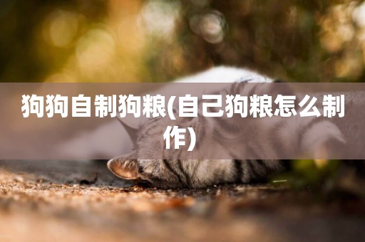 狗狗自制狗糧(自己狗糧怎么制作) 