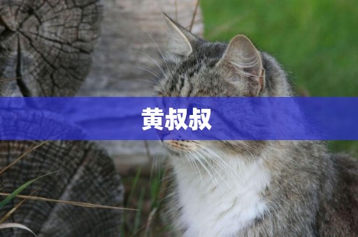 黃叔叔 