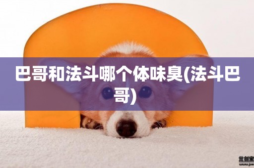 巴哥和法斗哪個體味臭(法斗巴哥) 