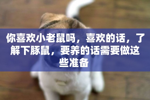 你喜歡小老鼠嗎，喜歡的話，了解下豚鼠，要養的話需要做這些準備 
