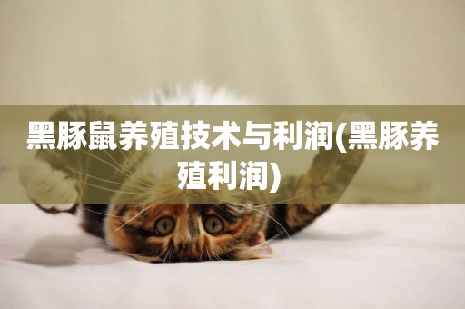 黑豚鼠養殖技術與利潤(黑豚養殖利潤) 