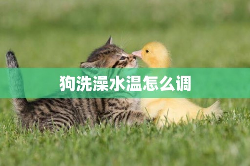 狗洗澡水溫怎么調