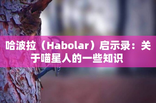 哈波拉（Habolar）啟示錄：關于喵星人的一些知識 