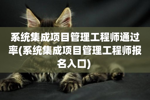 系統集成項目管理工程師通過率(系統集成項目管理工程師報名入口) 