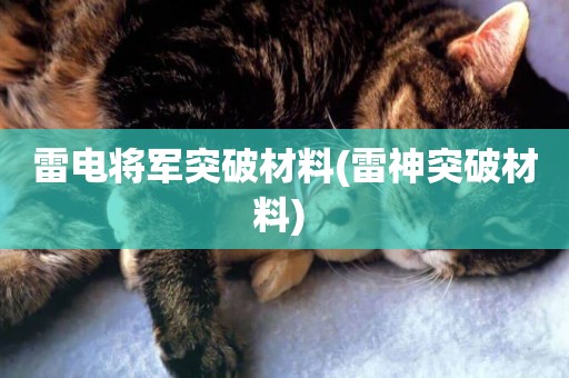 雷電將軍突破材料(雷神突破材料) 