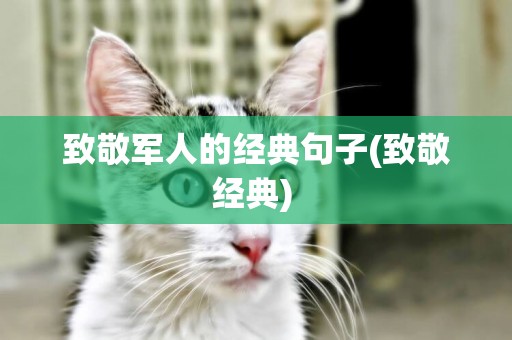致敬軍人的經典句子(致敬經典) 