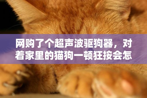 網購了個超聲波驅狗器，對著家里的貓狗一頓狂按會怎樣 