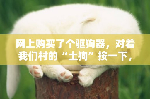 網上購買了個驅狗器，對著我們村的“土狗”按一下，反應亮了！ 