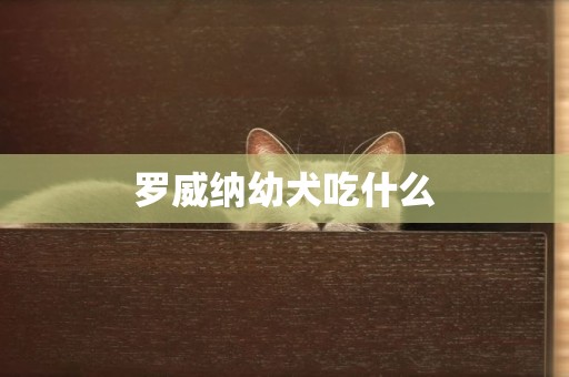 羅威納幼犬吃什么