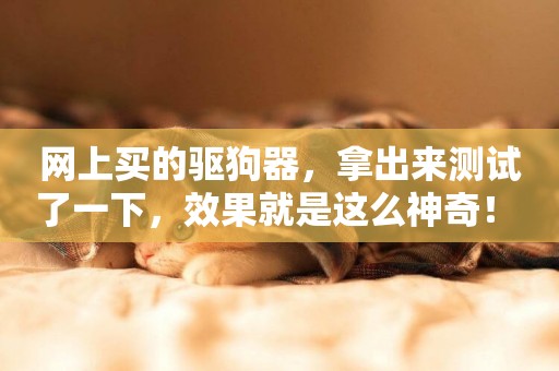 網上買的驅狗器，拿出來測試了一下，效果就是這么神奇！ 