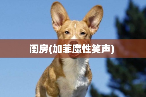 閨房(加菲魔性笑聲) 