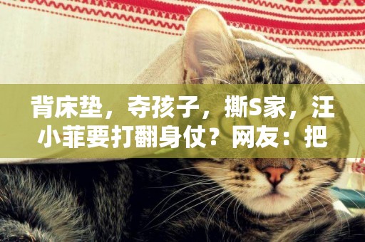 背床墊，奪孩子，撕S家，汪小菲要打翻身仗？網友：把蛤蟆揍哭 
