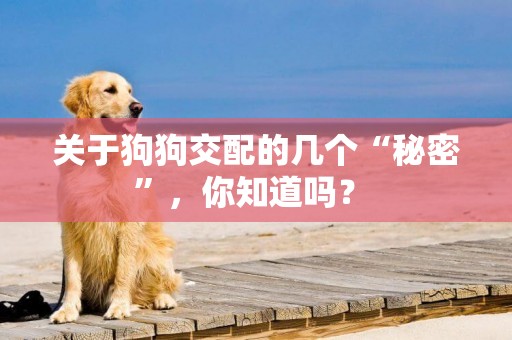 關于狗狗交配的幾個“秘密”，你知道嗎？ 