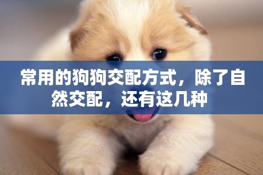 常用的狗狗交配方式，除了自然交配，還有這幾種 
