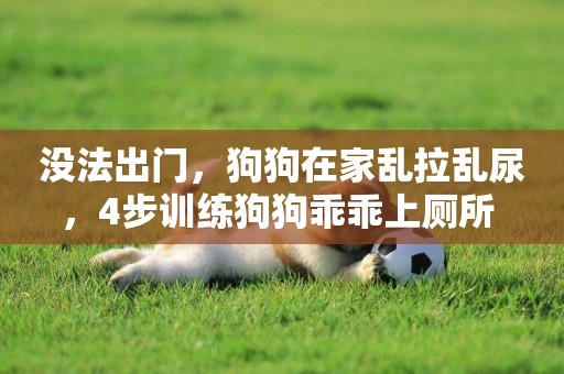 沒法出門，狗狗在家亂拉亂尿，4步訓練狗狗乖乖上廁所 