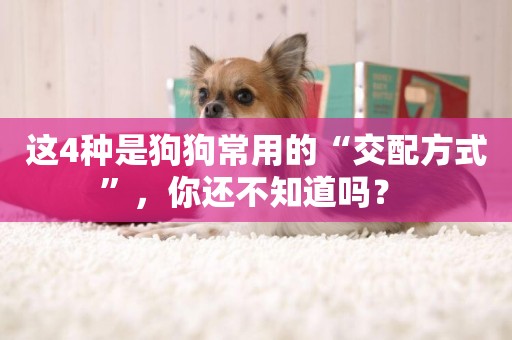 這4種是狗狗常用的“交配方式”，你還不知道嗎？ 