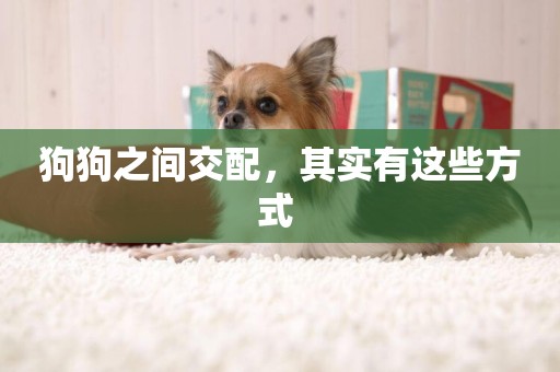 狗狗之間交配，其實有這些方式 