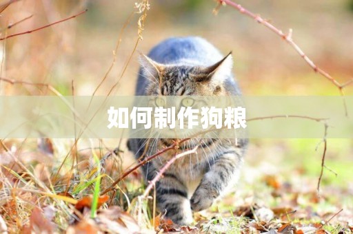 如何制作狗糧