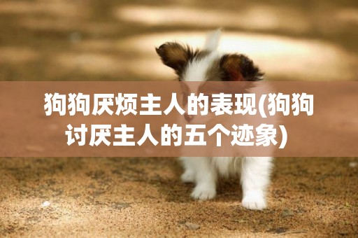 狗狗厭煩主人的表現(狗狗討厭主人的五個跡象) 
