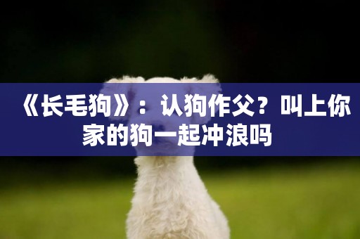 《長毛狗》：認狗作父？叫上你家的狗一起沖浪嗎 