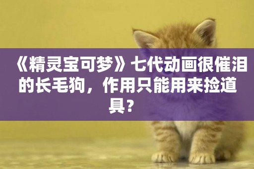 《精靈寶可夢》七代動畫很催淚的長毛狗，作用只能用來撿道具？ 