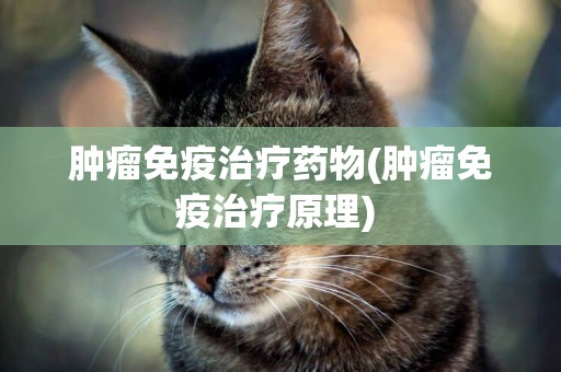 腫瘤免疫治療藥物(腫瘤免疫治療原理) 