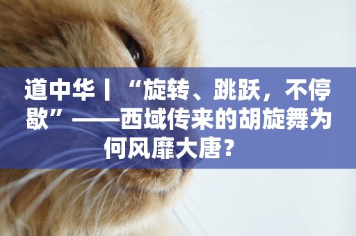 道中華丨“旋轉、跳躍，不停歇”——西域傳來的胡旋舞為何風靡大唐？ 