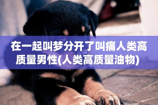 在一起叫夢分開了叫痛人類高質量男性(人類高質量油物) 