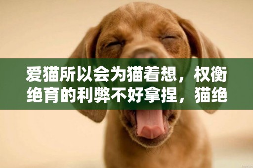 愛貓所以會為貓著想，權衡絕育的利弊不好拿捏，貓絕育的好處壞處 