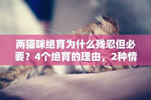 兩貓咪絕育為什么殘忍但必要？4個絕育的理由，2種情況可不絕育 