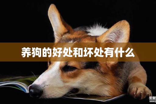 養狗的好處和壞處有什么
