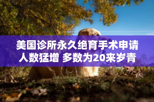 美國診所永久絕育手術申請人數猛增 多數為20來歲青年 