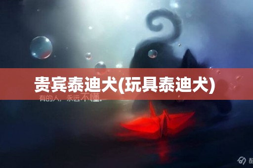 貴賓泰迪犬(玩具泰迪犬) 