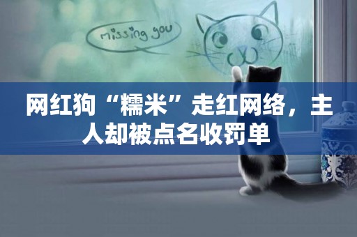網紅狗“糯米”走紅網絡，主人卻被點名收罰單 