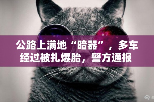 公路上滿地“暗器”，多車經過被扎爆胎，警方通報 