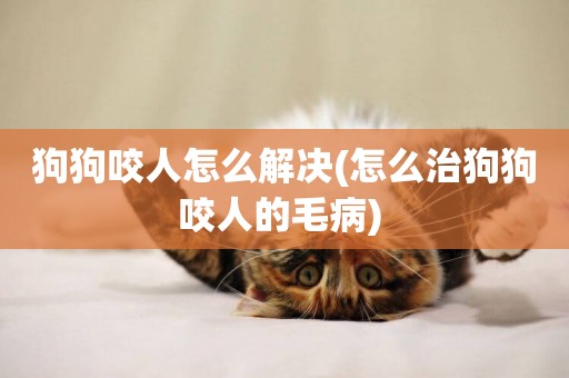 狗狗咬人怎么解決(怎么治狗狗咬人的毛病) 