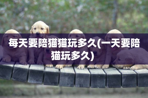每天要陪貓貓玩多久(一天要陪貓玩多久) 