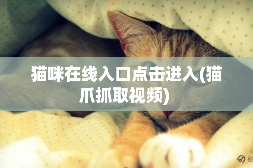 貓咪在線入口點擊進入(貓爪抓取視頻) 