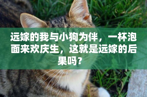 遠嫁的我與小狗為伴，一杯泡面來歡慶生，這就是遠嫁的后果嗎？ 