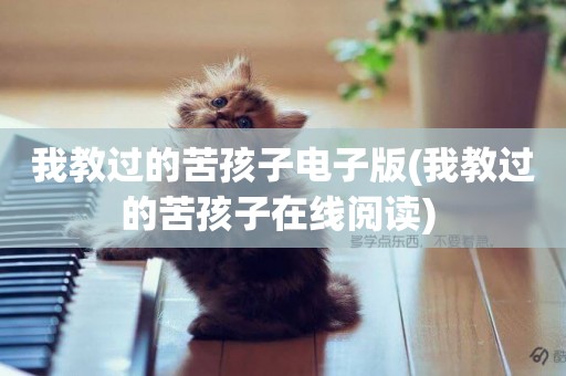 我教過的苦孩子電子版(我教過的苦孩子在線閱讀) 