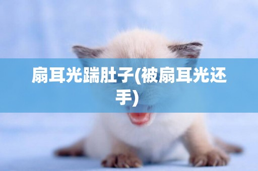 扇耳光踹肚子(被扇耳光還手) 