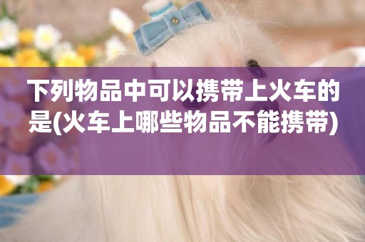 下列物品中可以攜帶上火車的是(火車上哪些物品不能攜帶) 