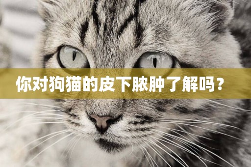 你對狗貓的皮下膿腫了解嗎？ 