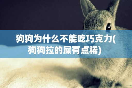 狗狗為什么不能吃巧克力(狗狗拉的屎有點稀) 