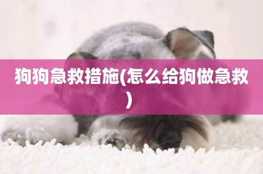 狗狗急救措施(怎么給狗做急救) 