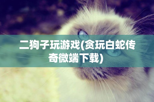 二狗子玩游戲(貪玩白蛇傳奇微端下載) 